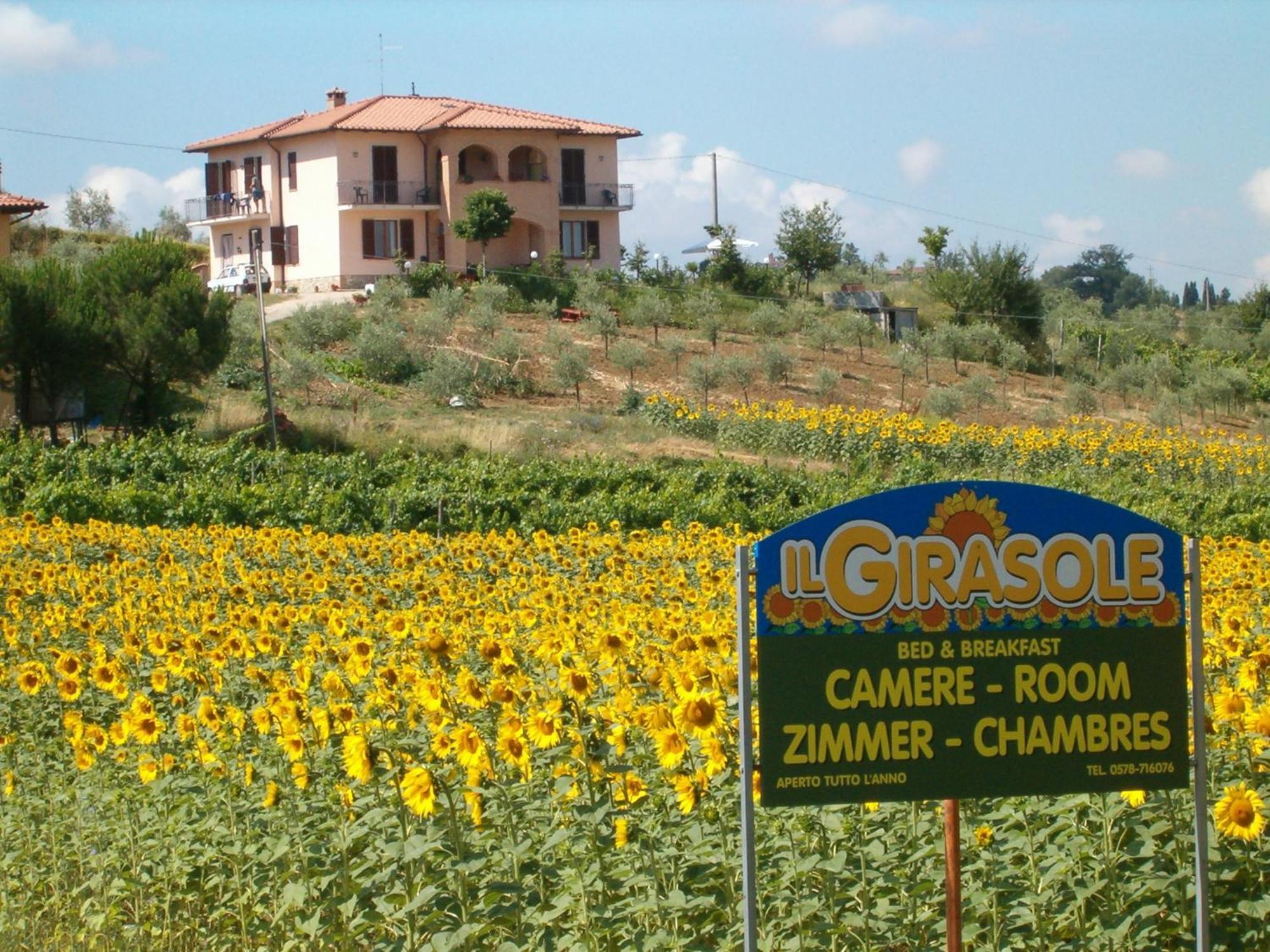 B&B Il Girasole - Rooms & House In Country - 1500 Meters From Historic Center มอนติปุลเชียโน ภายนอก รูปภาพ