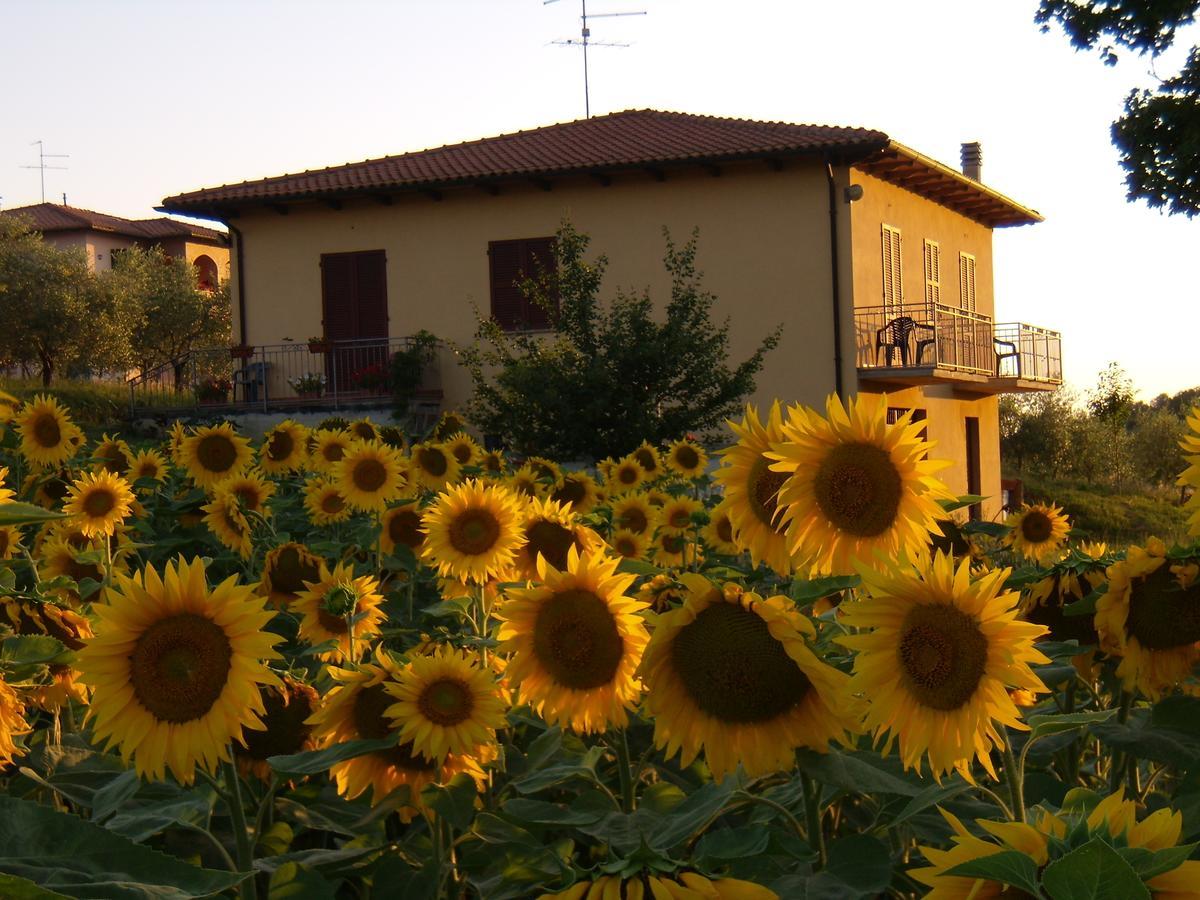 B&B Il Girasole - Rooms & House In Country - 1500 Meters From Historic Center มอนติปุลเชียโน ภายนอก รูปภาพ