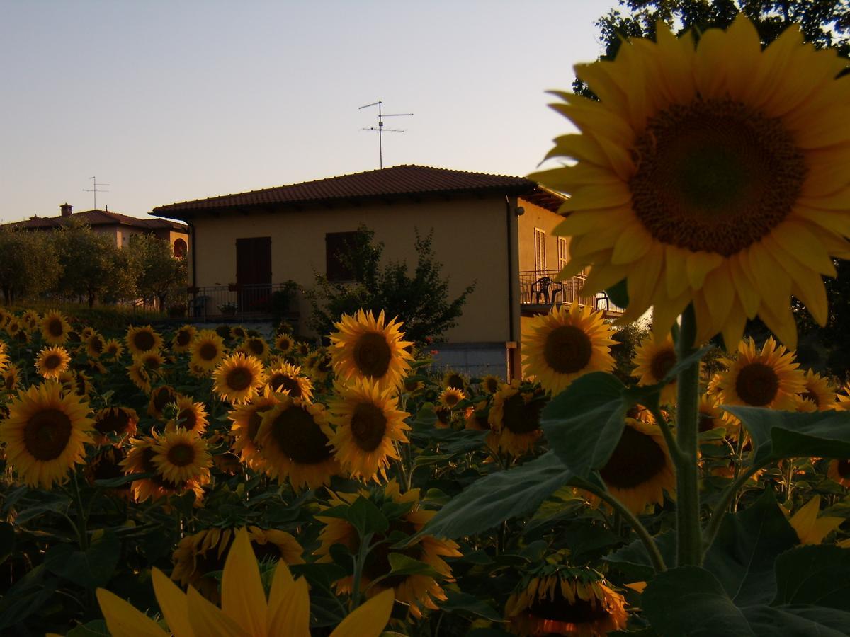 B&B Il Girasole - Rooms & House In Country - 1500 Meters From Historic Center มอนติปุลเชียโน ภายนอก รูปภาพ